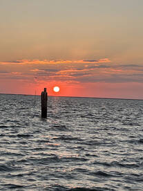 Venice Report Photo 1