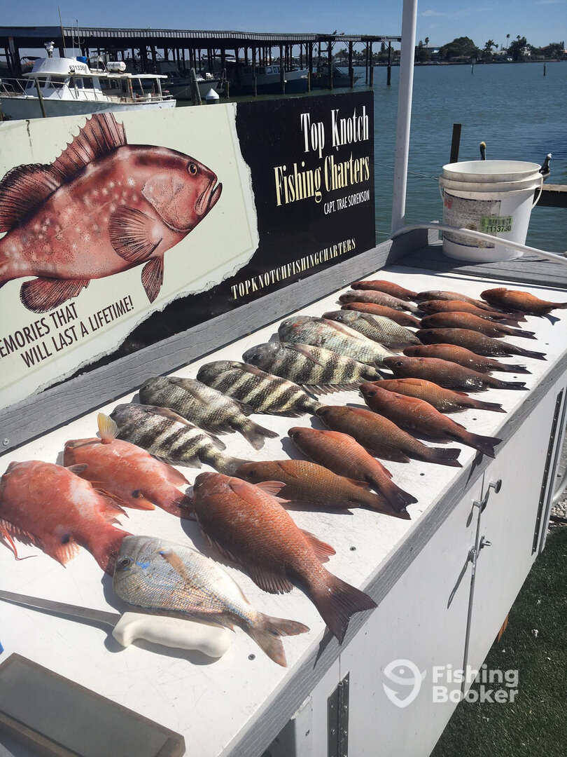Madeira Beach Report Photo 0