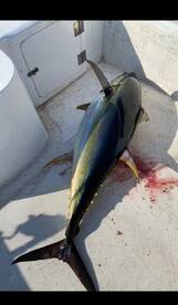 San Jose del Cabo Report Photo 2