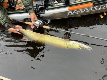 Saranac Lake Report Photo 2