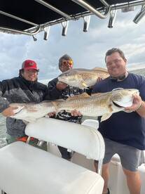 Red snapper and redfish hauls