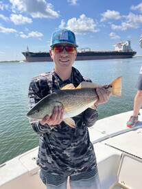 Reds, snapper, trout trio Venice La