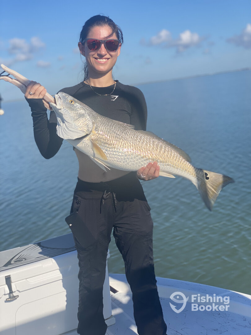 South Padre Island Report Photo 0
