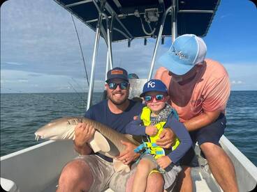 Nurse Sharks and More!