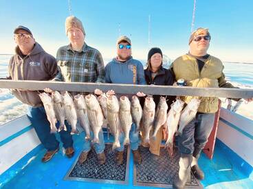 Solomons Report Photo 2