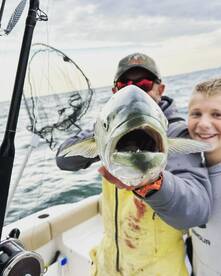 Gator blues and Fall run bass!