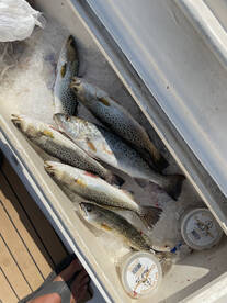 Wanchese Report Photo 2