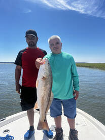 Hilton Head Island Report Photo 1