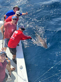 Dania Beach Report Photo 1