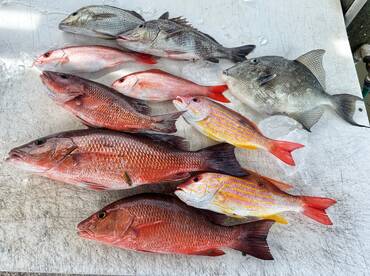 Fish for dinner