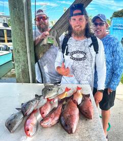 Port Orange Report Photo 2