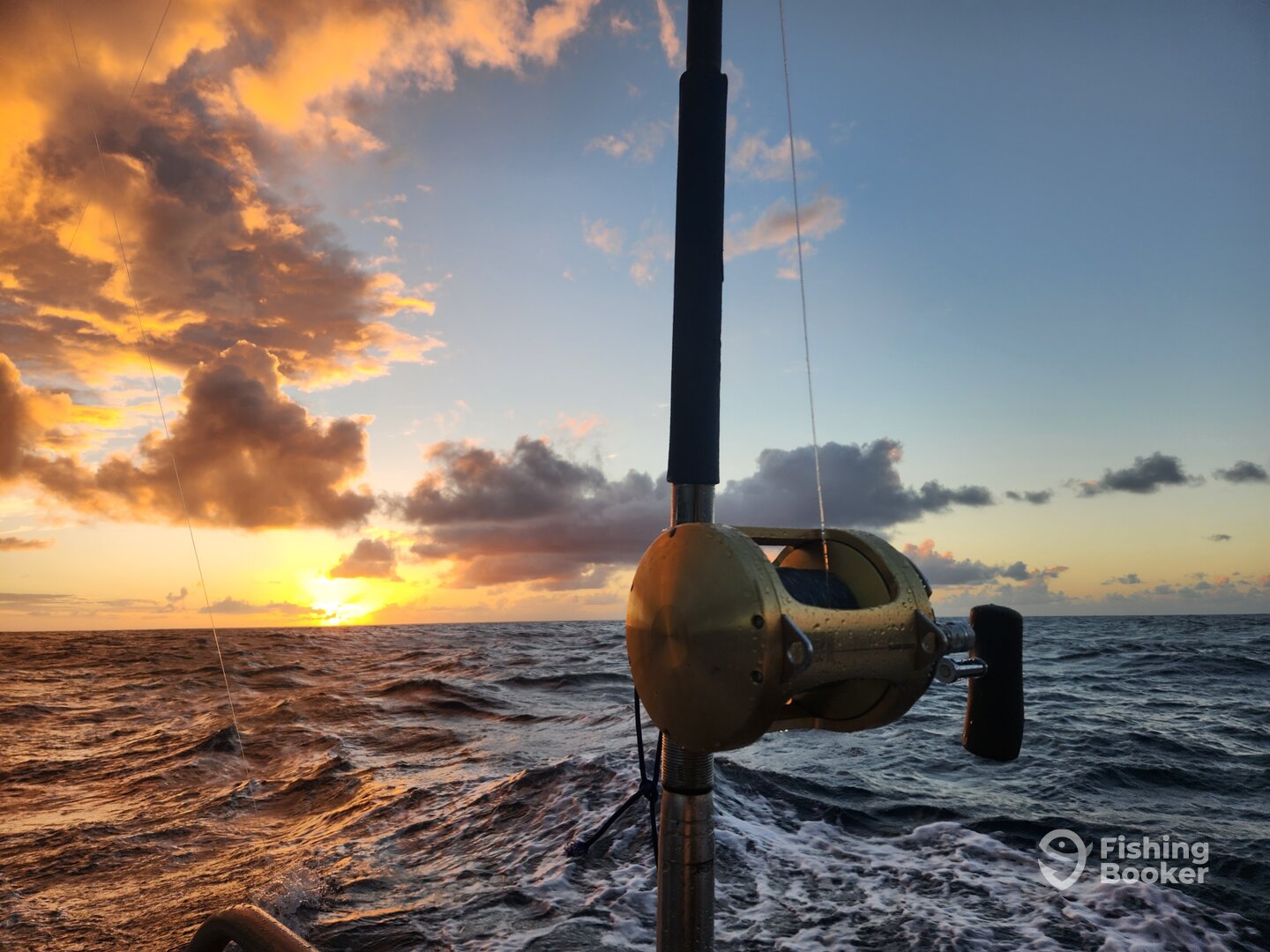 Haleiwa Report Photo 0