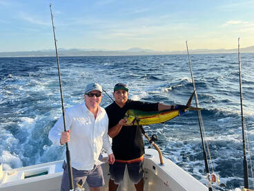 Cabo San Lucas Report Photo 1