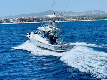 Cabo San Lucas Report Photo 2