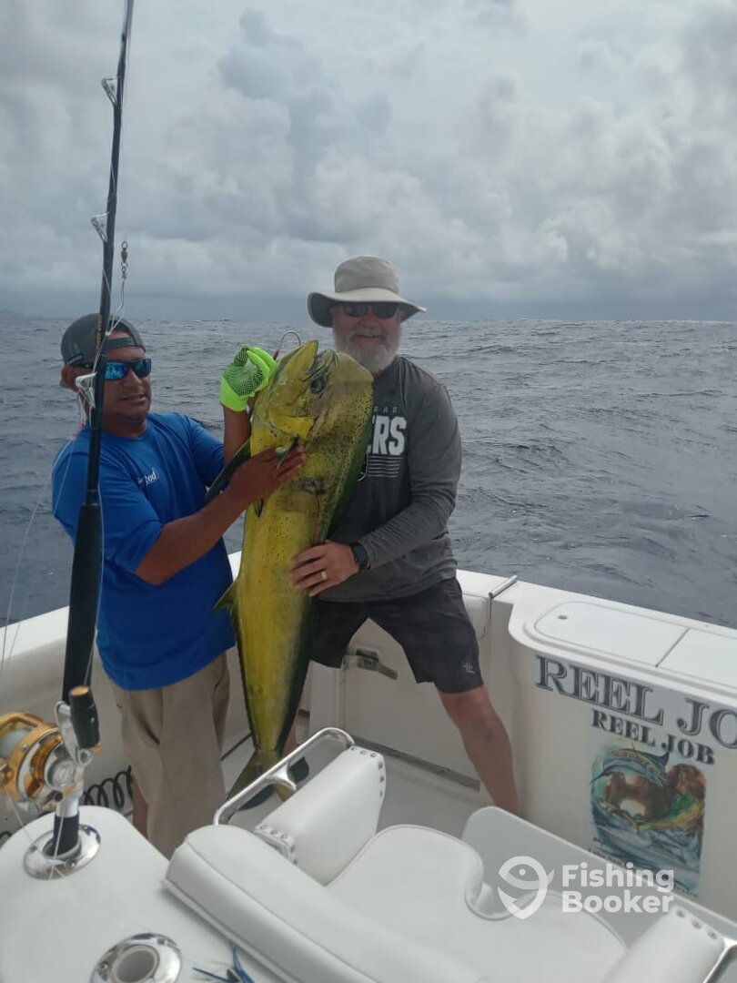 Cabo San Lucas Report Photo 0