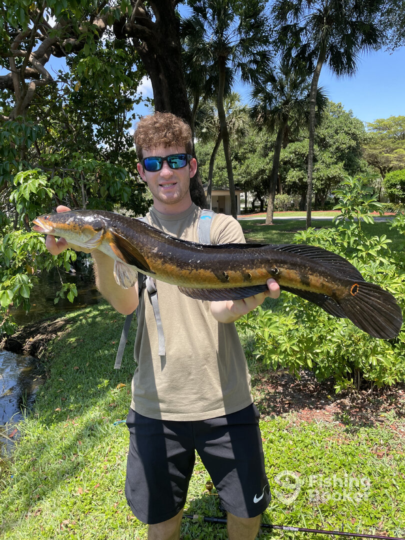 Fort Lauderdale Report Photo 0