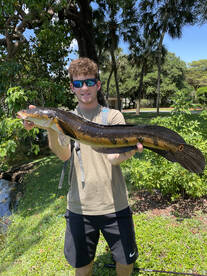 Trying to catch peacocks in Snakehead ke