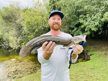 Fort Lauderdale Report Photo 1