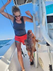 Big Hungry Red Grouper