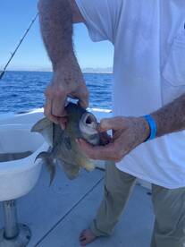San Jose del Cabo Report Photo 2