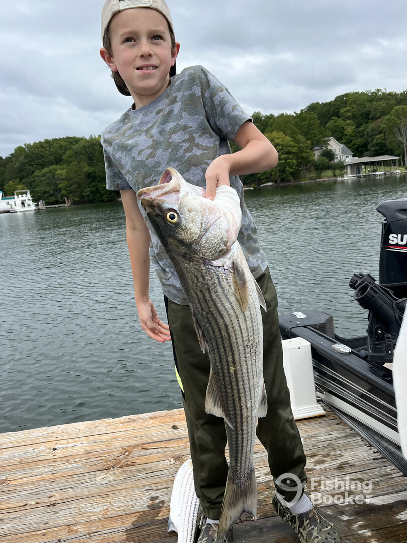 Penhook Report Photo 0