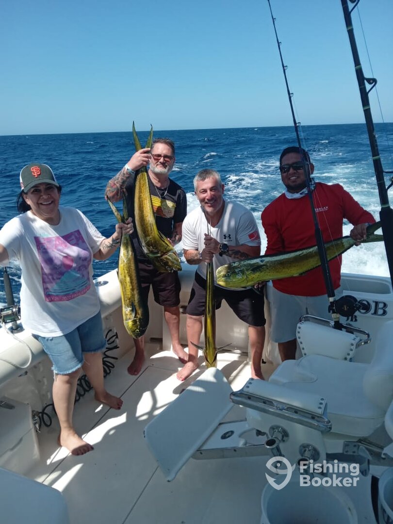 Cabo San Lucas Report Photo 0