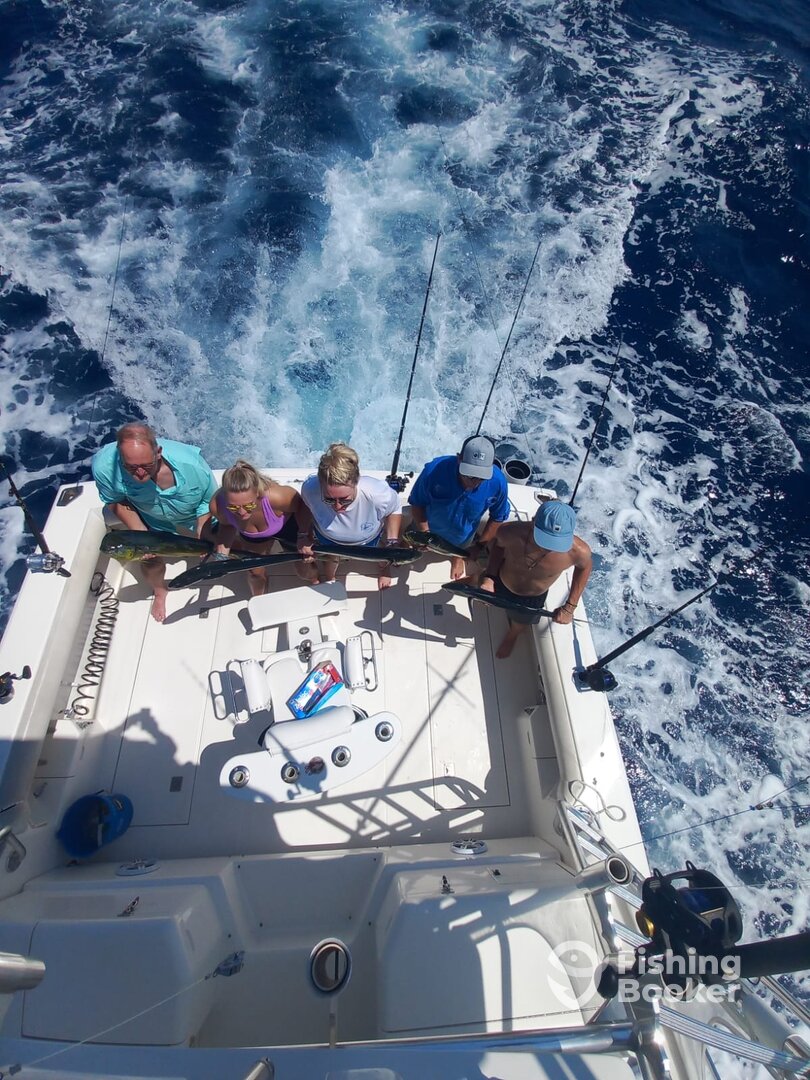 Cabo San Lucas Report Photo 0