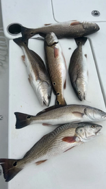 Redfish Limits
