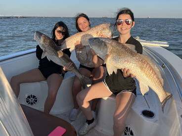 Bull red run!