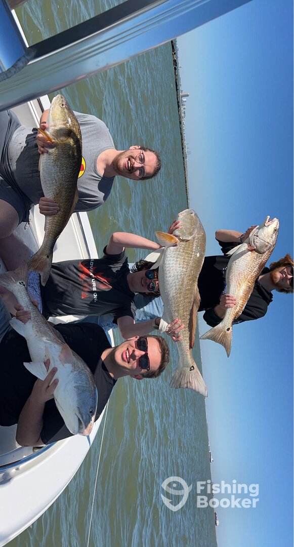 Galveston Report Photo 0
