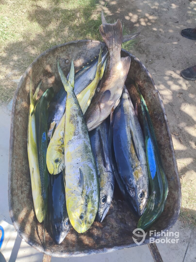 San Jose del Cabo Report Photo 0