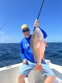 Mutton snapper for dinner !