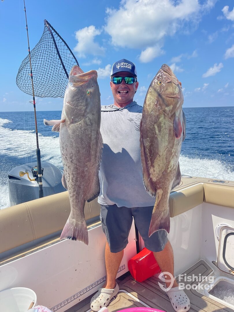 Cape Coral Report Photo 0