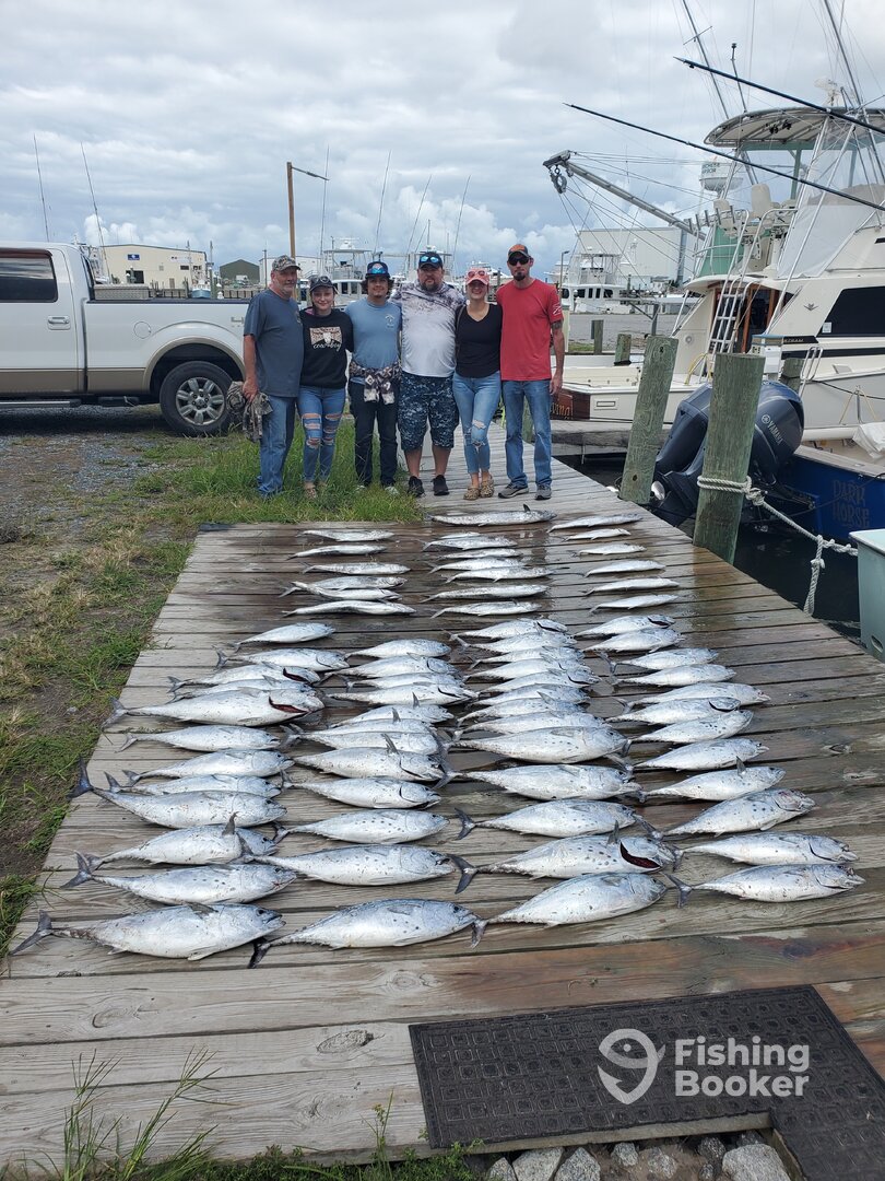 Wanchese Report Photo 0