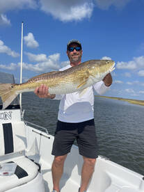 Bull reds
