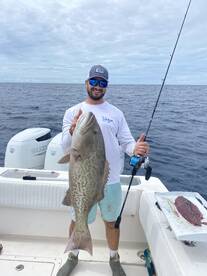 Nice Grouper on a