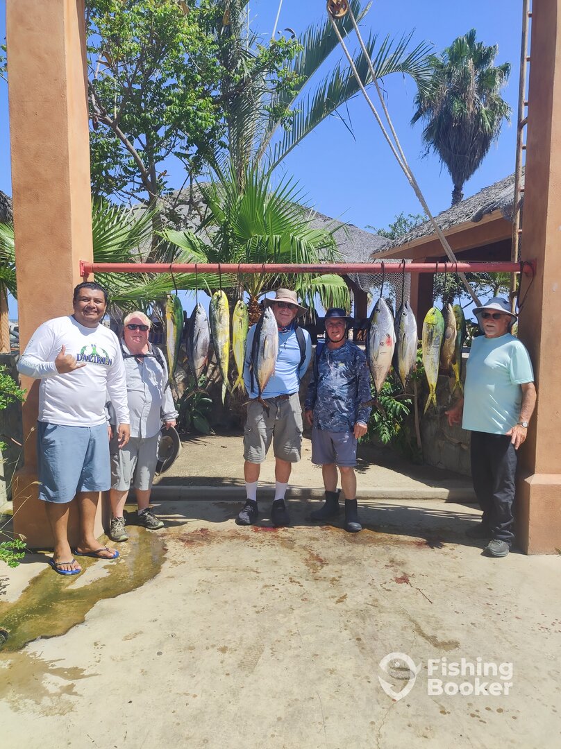 San Jose del Cabo Report Photo 0