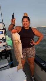 Galveston Report Photo 1