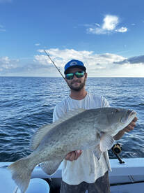 Sarasota Report Photo 2