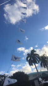 9-10 on Sailfish in Feburary