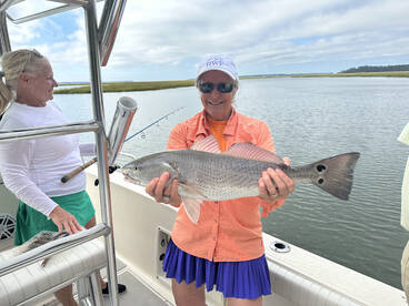 Hilton Head Island Report Photo 2