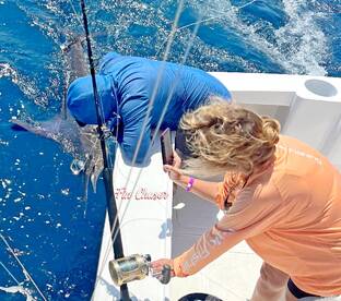 Triple Marlin Triumph: Epic fishing 