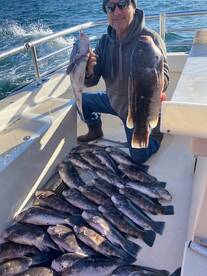 Montauk Report Photo 2