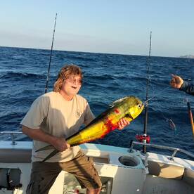 Cabo San Lucas Report Photo 1