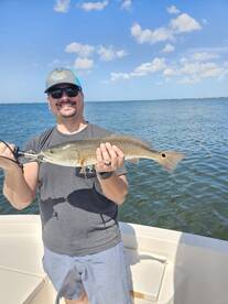 HOT Fall Fishing in Sarasota!
