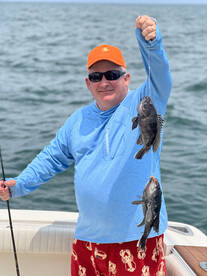 Sea bass & fall update. 