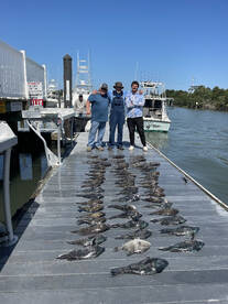 Virginia Beach Report Photo 2