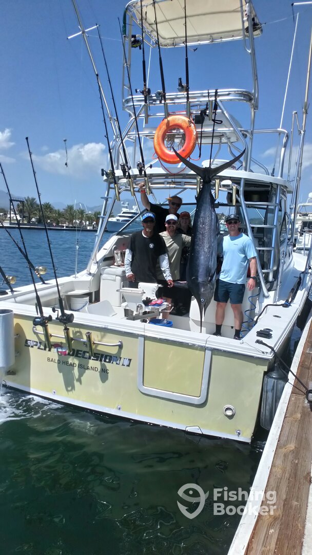 San Jose del Cabo Report Photo 0
