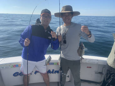 New York City Report Photo 1