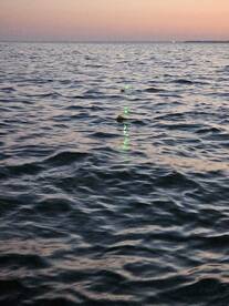Lakeside Marblehead Report Photo 2